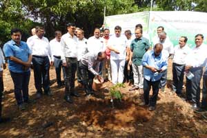 Celebration Of world environment Day 2023